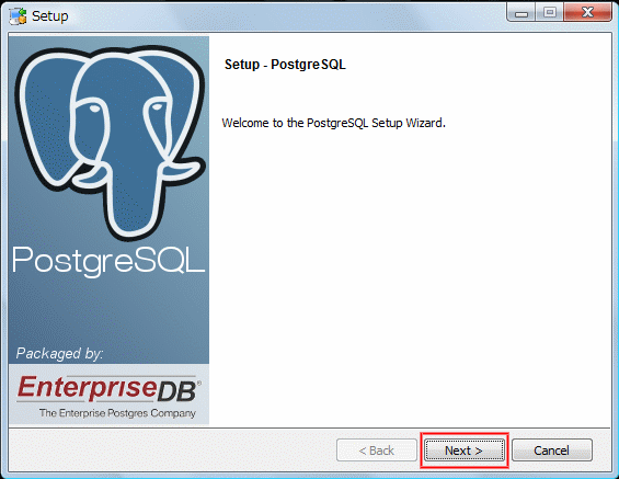 psql_inst_n01.gif(41394 byte)